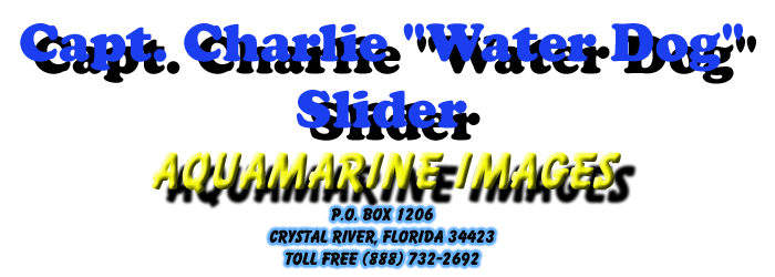 Aquamarine Images Header