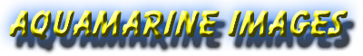 Click to E-Mail Aquamarine Images